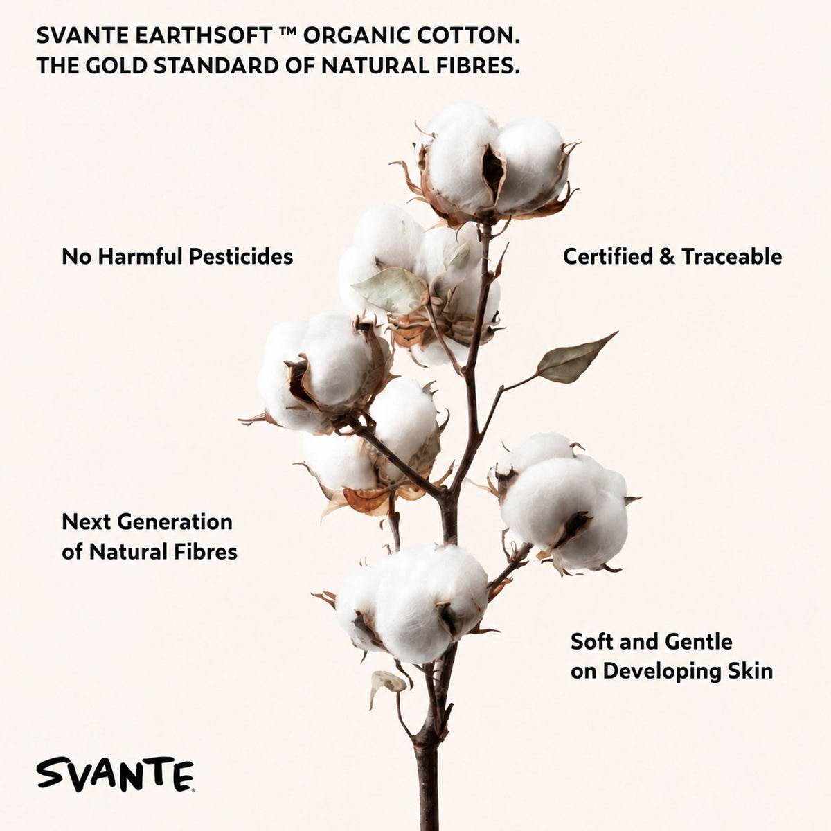 Black Organic Cotton Hoodie
