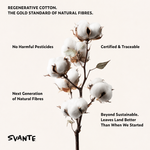 A vertical graphic featuring a cotton boll stem on a warm off-white background with several text callouts around it. The text reads: 'SVANTE REGENERATIVE COTTON.