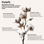 Regenerative cotton plant with text about regenerative cotton farming on a white background. 